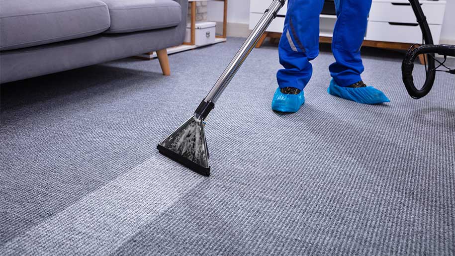 From Amateur to Pro: Your Guide to Cleaning Carpets Like a Pro